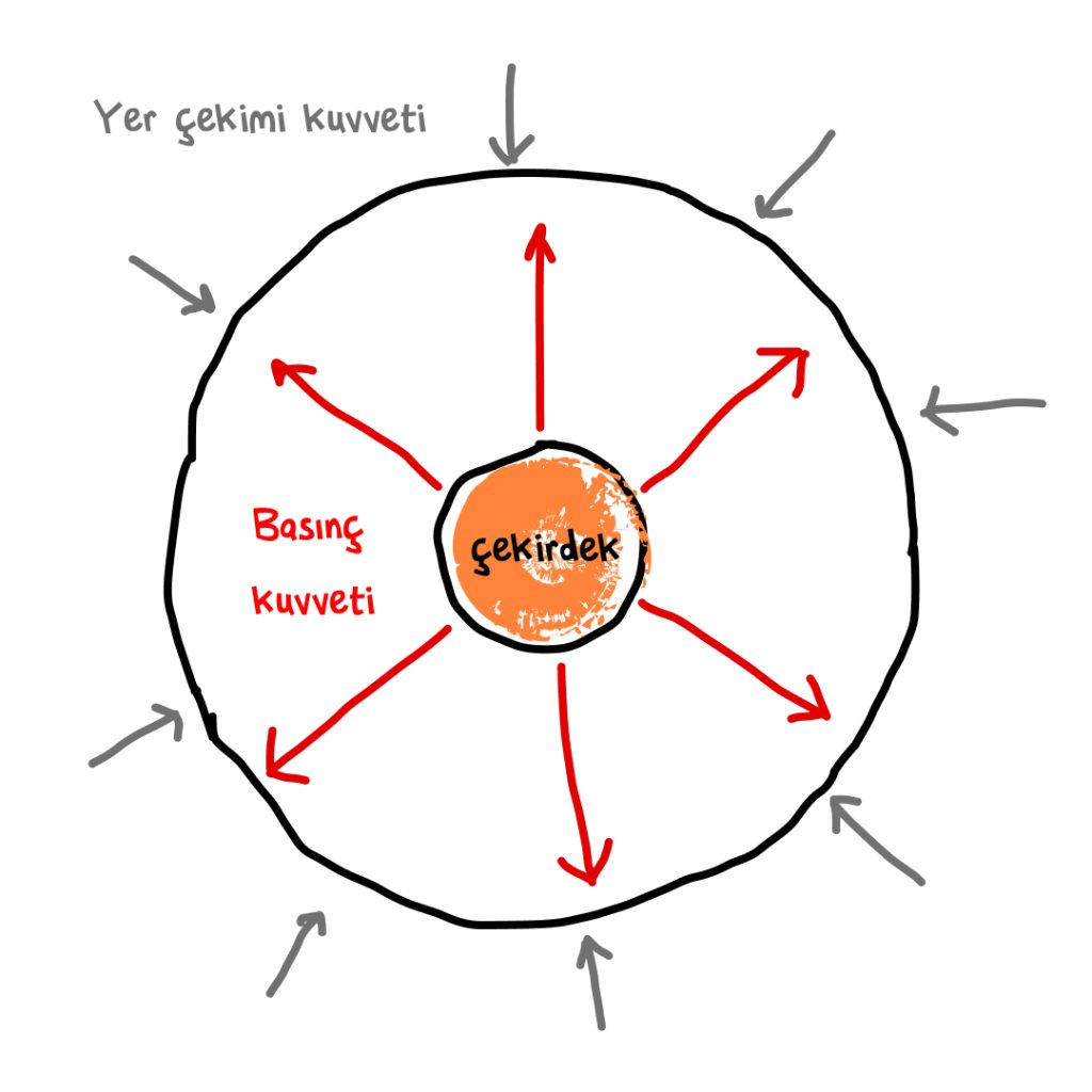 Süpernova Yıldızı Basınç Kuvveti ve Yer Çekimi Kuvveti Dengesi