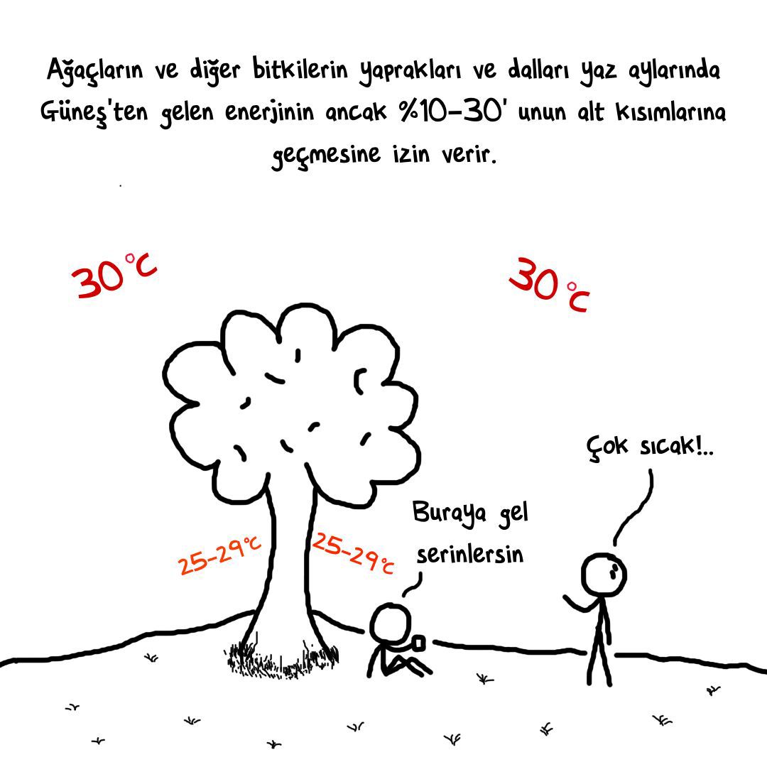 agac