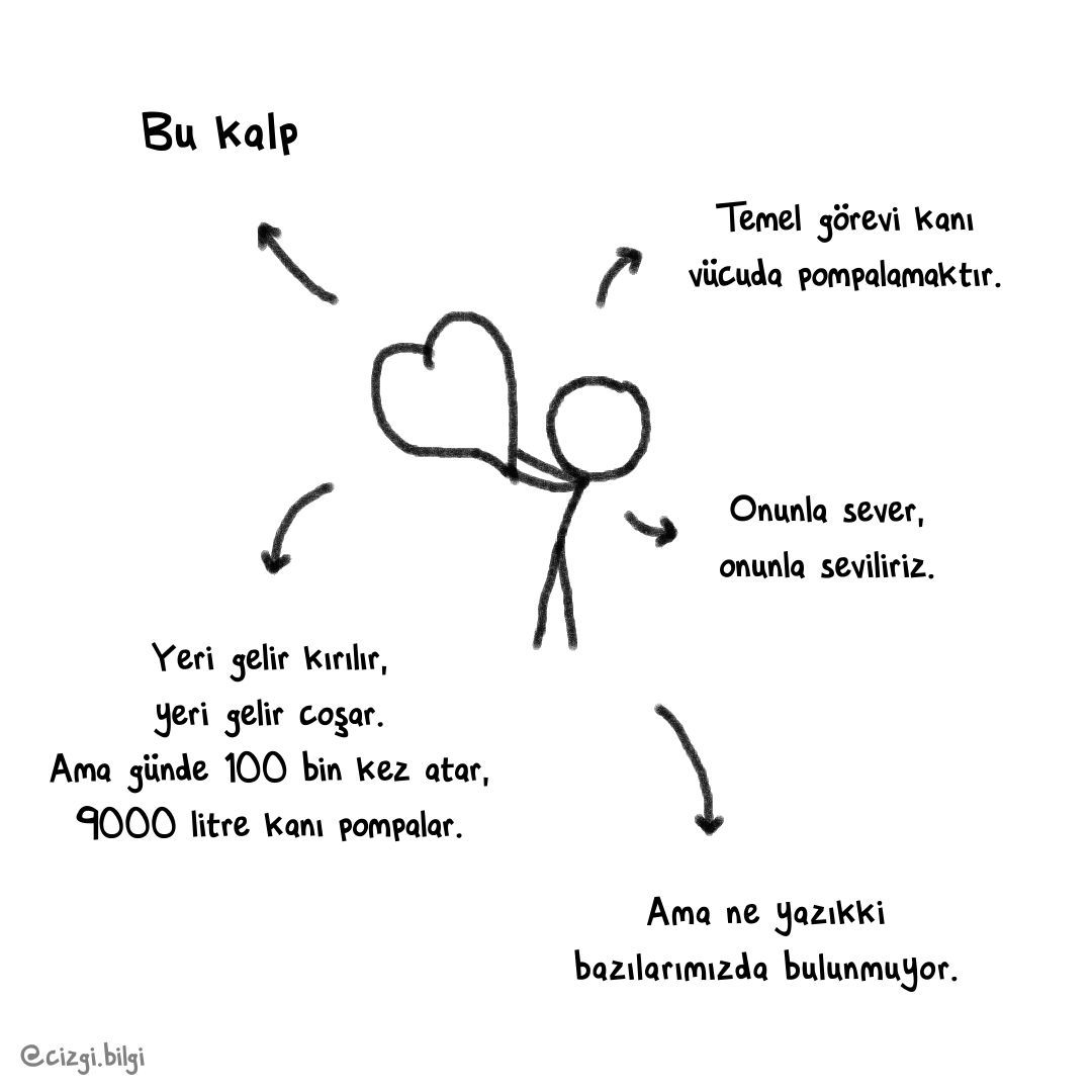 kalp